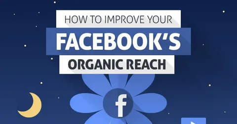 Master the Facebook Algorithm for Organic Reach 