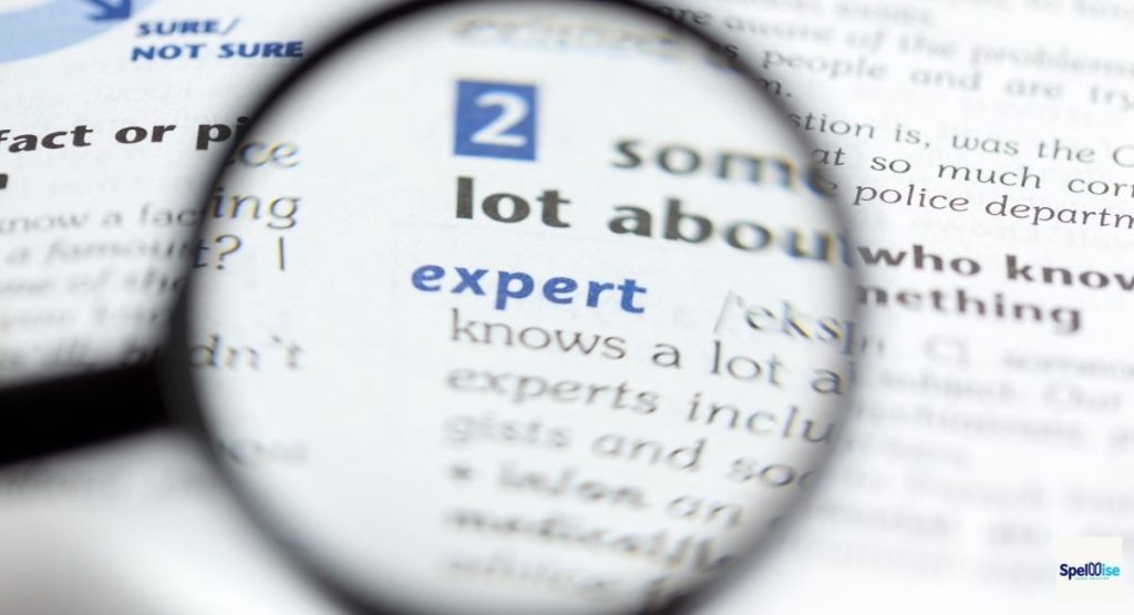Sentence Structure and Word Order